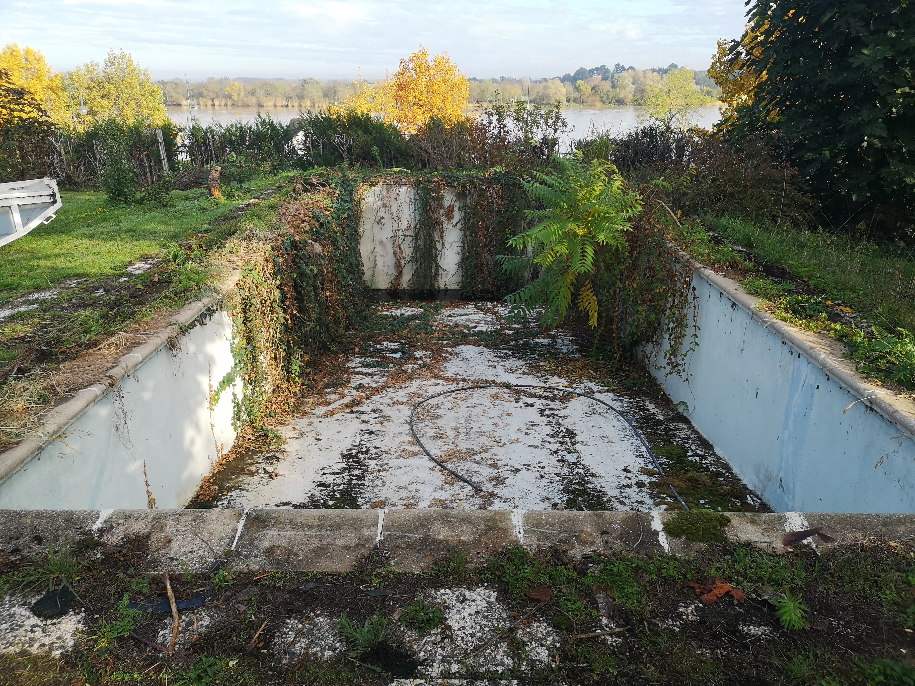 Piscine envahie par la végétation avant travaux